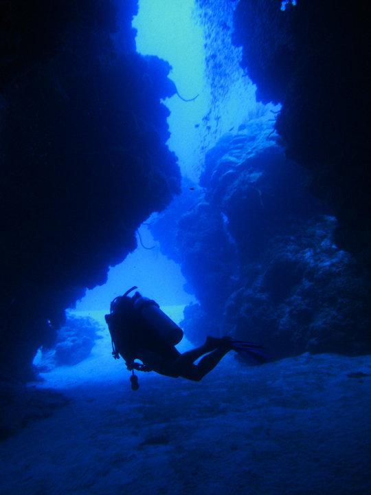 Beachouse Dive Hostel Cozumel Exterior foto