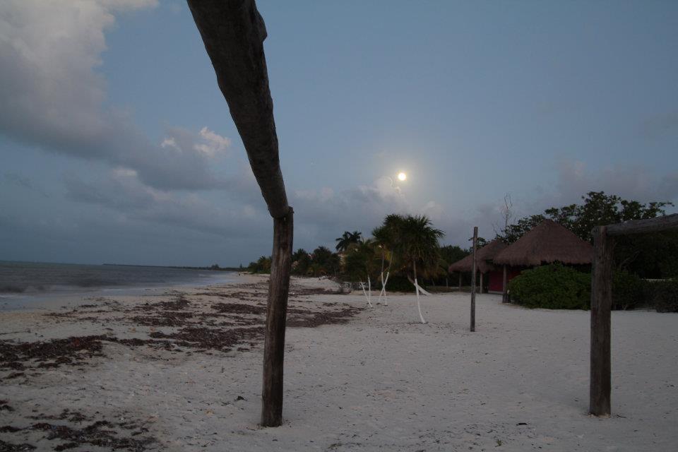 Beachouse Dive Hostel Cozumel Exterior foto